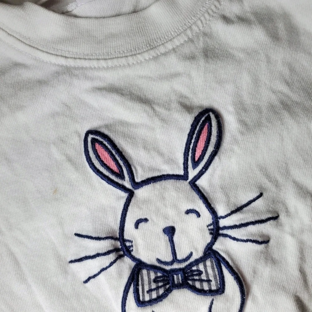 Gymboree embroidered baby